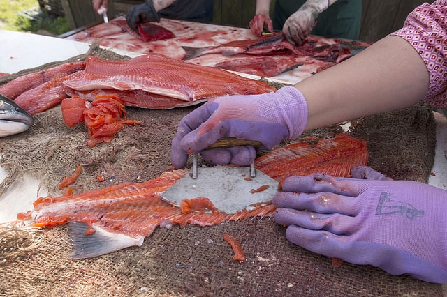Estelle Thomson shows fish campers how to harvest all meat