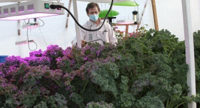 Greenhouse Coordinator Jeff Swan tends to the plants in the Tribe's Ch’k’denłyah yuyeh greenhouse.