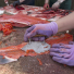 Estelle Thomson, a traditional healer at the Dena’ina Wellness Center, shows senior fish campers how to harvest all of the meat from bones removed from a red salmon.
