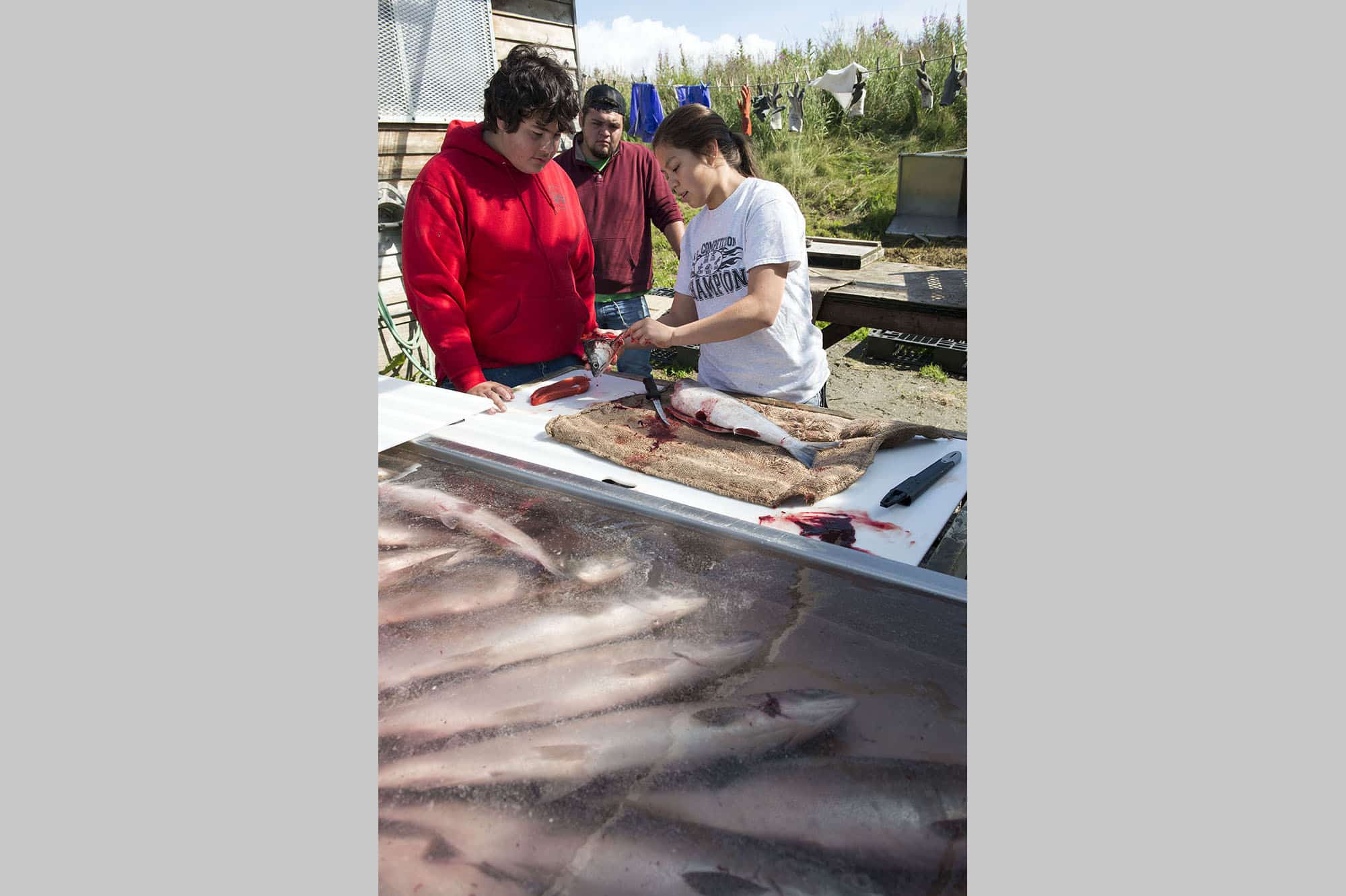 Joshua Grosvold, Jonny Wilson and Julianne Wilson process salmon at the tribe’s educational fishery site.