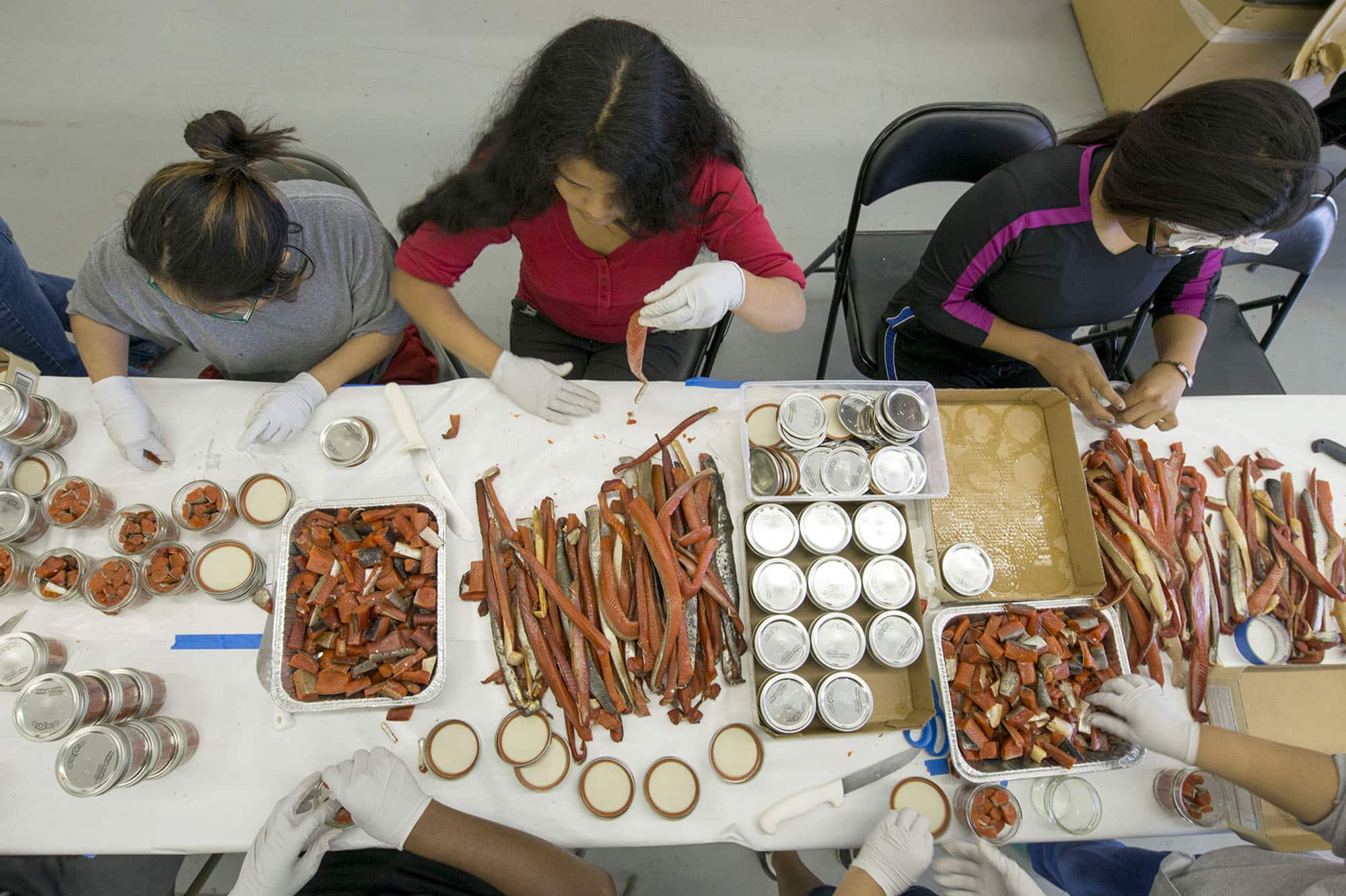 Participants in a Yaghanen fish camp cut and jar smoked salmon strips.