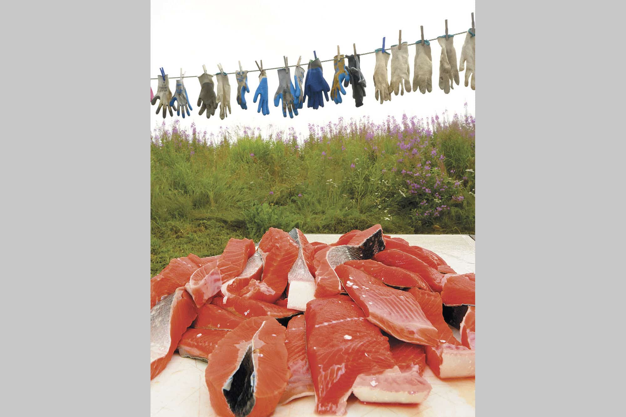 Red salmon, processed at the tribal fishery, wait to be packaged.
