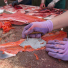 Estelle Thomson, a traditional healer at the Dena'ina Wellness Center, shows senior campers how to harvest all of the meat from bones removed from a red salmon.
