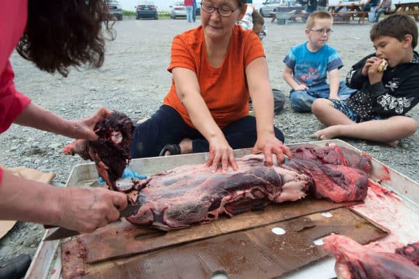 OUR VALUES: STEWARDSHIP-Youngsters from the Kenaitze Indian Tribe's Head Start early education program eat contemporary food while watching elders process seal, a traditional food, during an outing to the tribe's beachfront fishery.